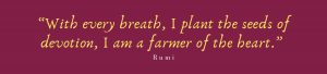 devotional love “With every breath, I plant the seeds of devotion, I am a farmer of the heart.” Rum