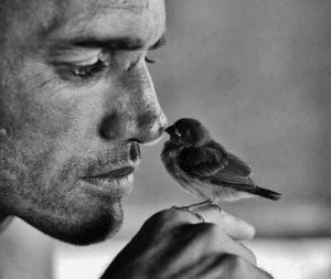 5 Ways to Love & Awareness - Man and bird close up